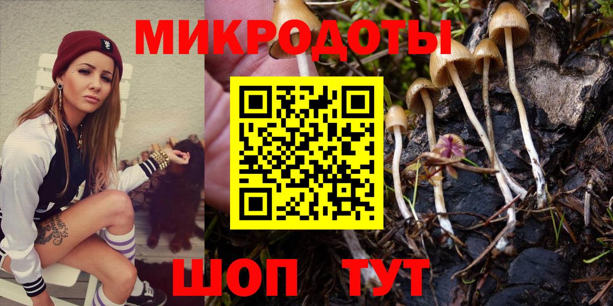 Псилоцибиновые грибы ЛСД  дарнет шоп  Городец  Псилоцибиновые грибы Psilocybine cubensis 