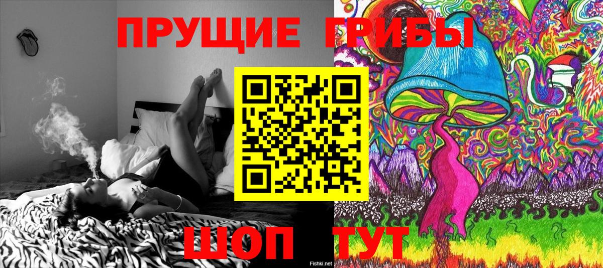 Городец  Галлюциногенные грибы Cubensis  Вход с VPN 
